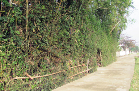 Làng khoa bảng và danh nhân nhiều đời ở Hà Tĩnh